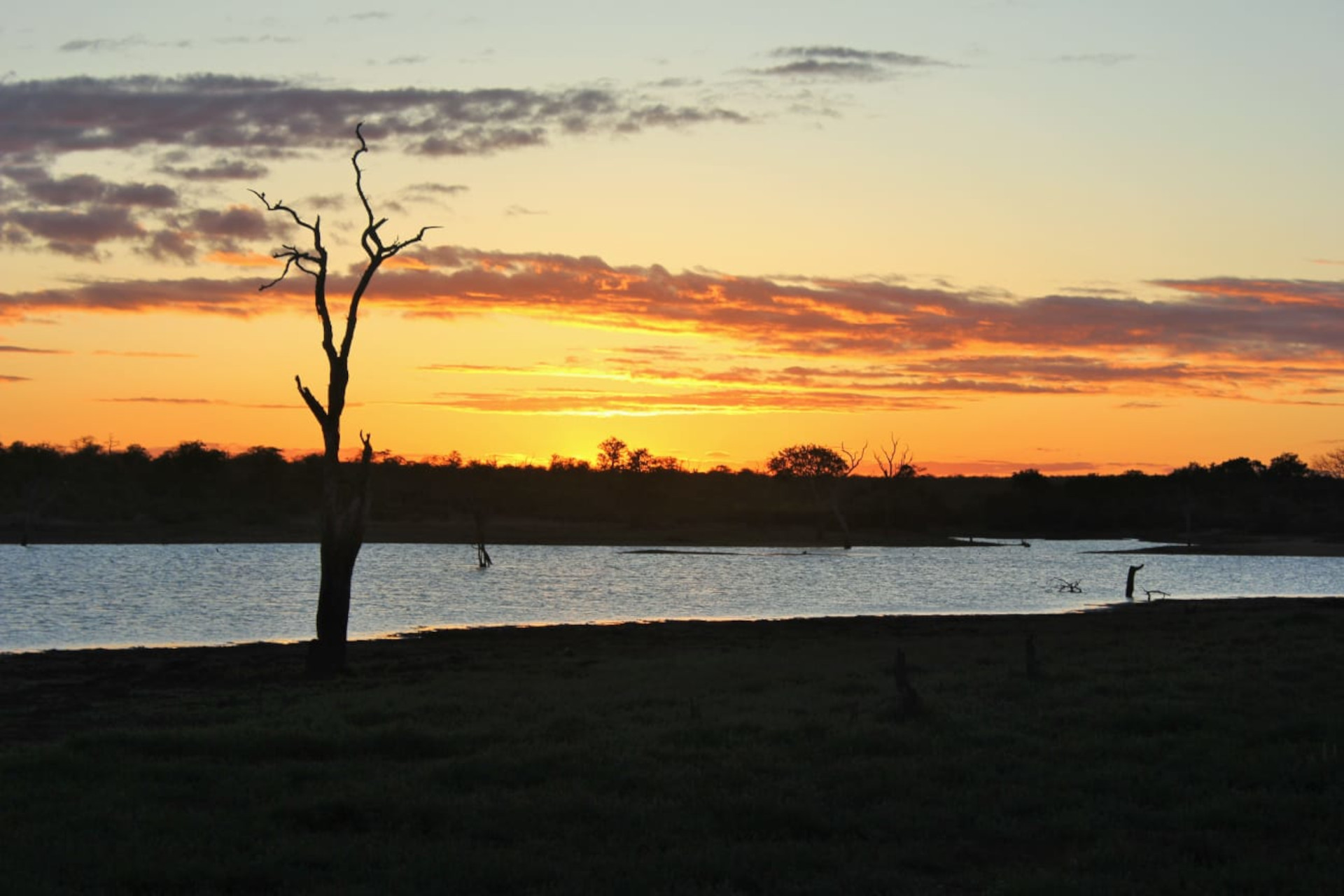 kruger-bg kruger-bg